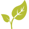 Logo Hoja Leguminiosas