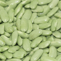 Leguminosas Proteicas