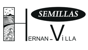 HERNAN VILLA