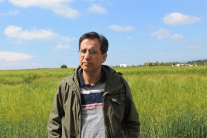 Entrevista en Diario Sevilla