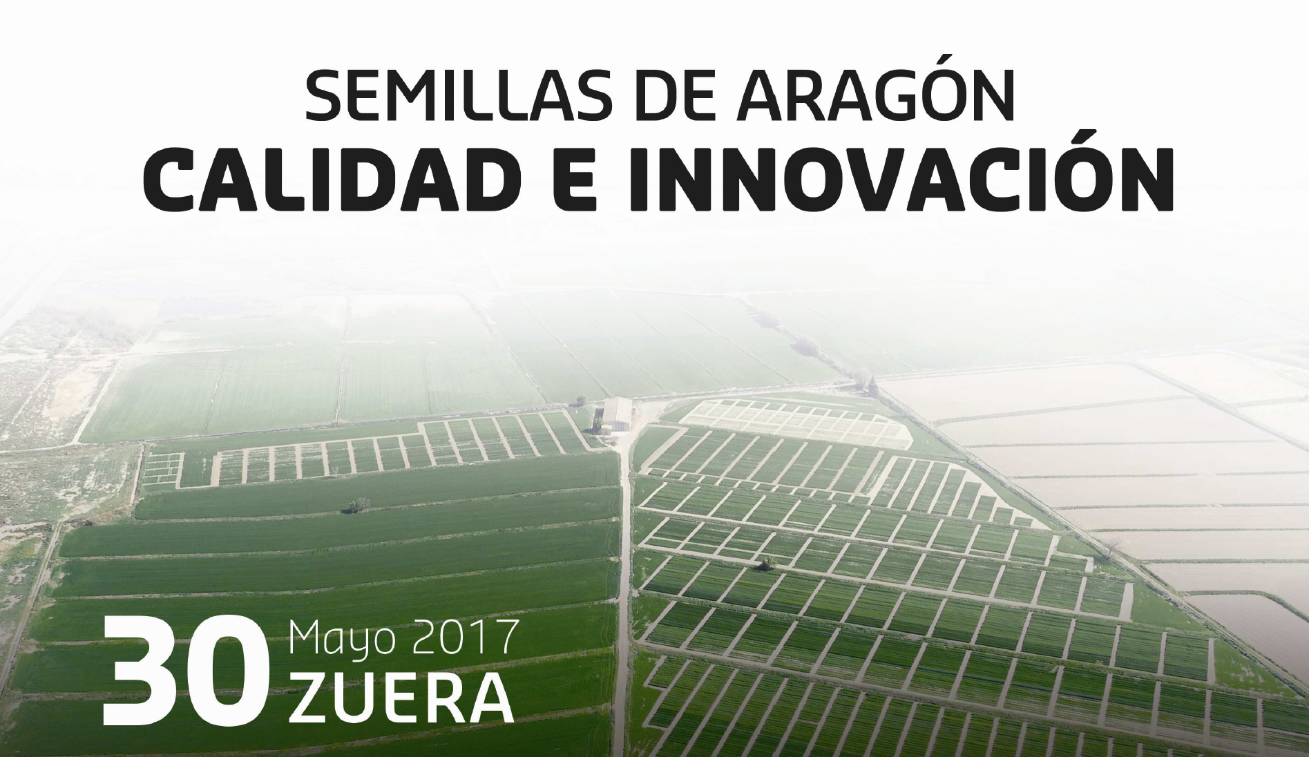 Zuera acogerá las Jornadas de Aragón de Transferencia de Cereal de Invierno