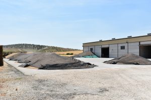 Presentando a… SEGESCO