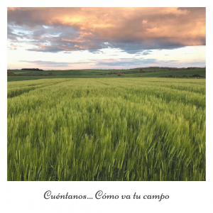 Cuéntanos…Cómo va tu campo
