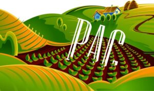 ¿A dónde va la PAC post 2020?