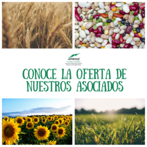 SEGUIMOS CON LOS CATÁLOGOS DE NUESTROS ASOCIADOS