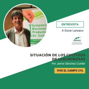 Situación de los cultivos de Leguminosas